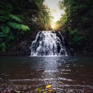 Meet your Posher, Hordan